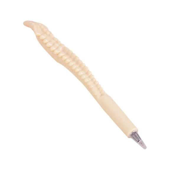 RZDLIZJ 0.7mm Bone Shaped Ballpoint Pen,Novelty Bone Design Smooth Writing Pen,Durable Plastic Medium Point Ink Pen for Daily Note Taking,Office Work,Personal Collection and Gift Giving