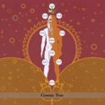 thumbnail image 1 of Rabbinical School Dropouts - Cosmic Tree - World / Reggae - CD, 1 of 1