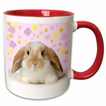 3drose, Rabbit, 15oz Two-tone Red Mug