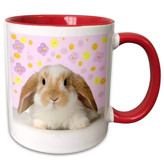 3drose, Rabbit, 15oz Two-tone Red Mug