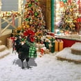 Rabbit Cardboard Playhouse Garden Metal 6ft Holiday Cards Shoe Men Work