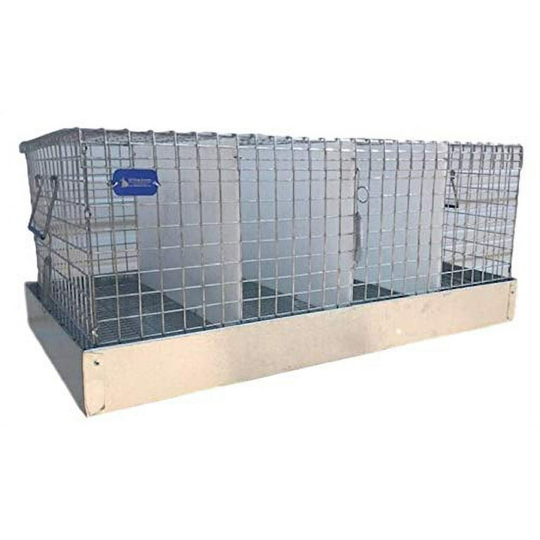 Rabbit Carrier Transport Cage 4 Hole 16x28x12 Walmart