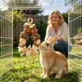 thumbnail image 1 of Rabbit Chew Toys for Teeth - Natural Wooden Pet Hanging Toy for Small Animals, Guinea Pigs & Hamsters - 8.3" x 5.1" Cage Accessories for Grinding & Biting, 1 of 4