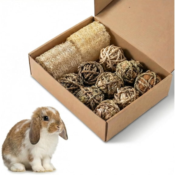 Rabbit Chew Toys