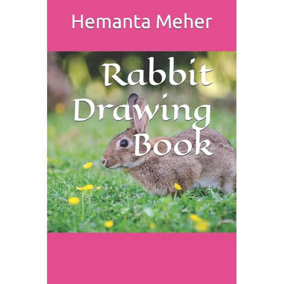 Rabbit Drawing Book (Paperback)