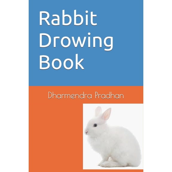 Rabbit Drowing Book (Paperback)