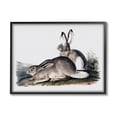 thumbnail image 1 of Rabbit Duo Gazing Animals Animals & Insects Painting Black Framed Art Print Wall Art, 1 of 7