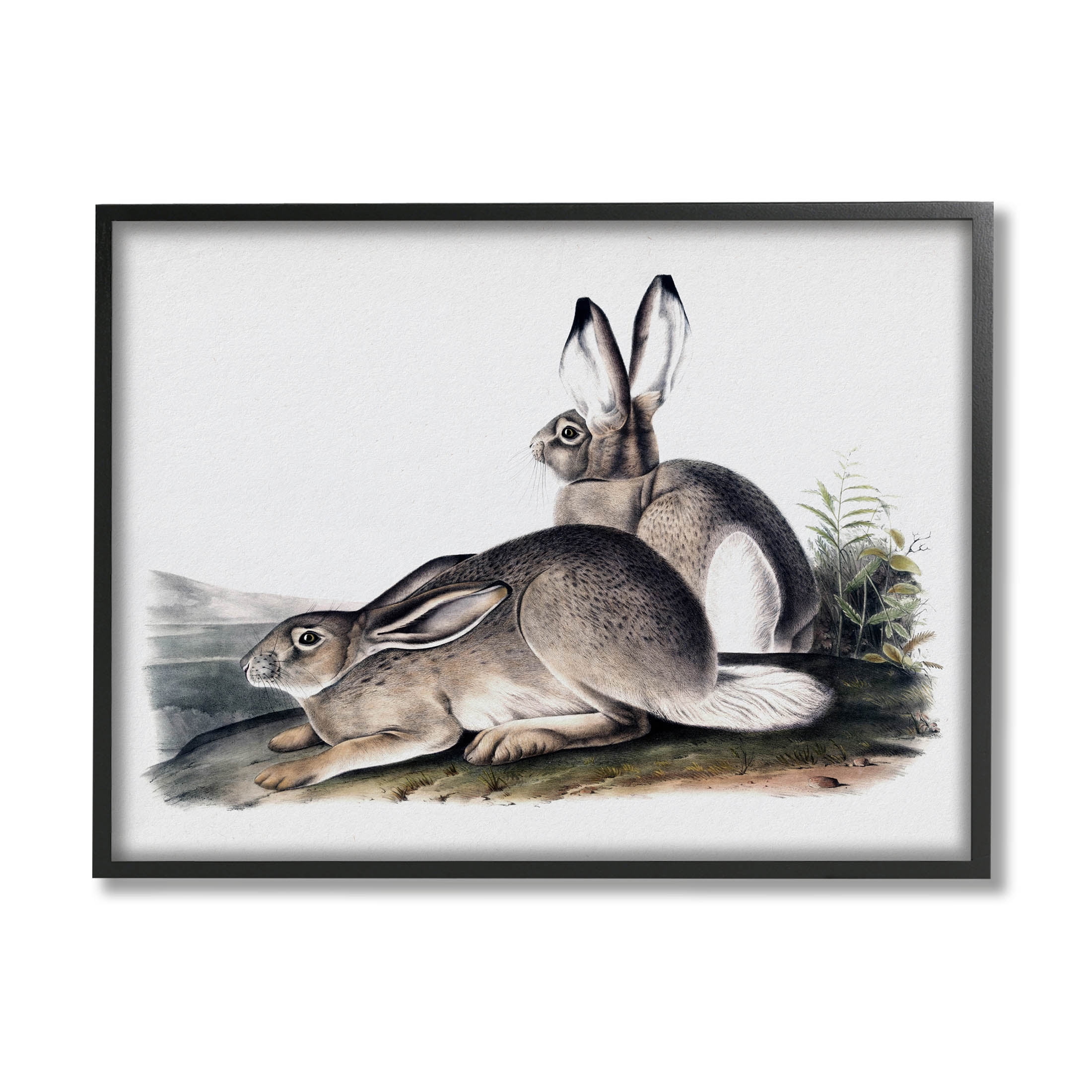 Stupell Industries Rabbit Duo Gazing Animals Black Framed Giclee Wall ...