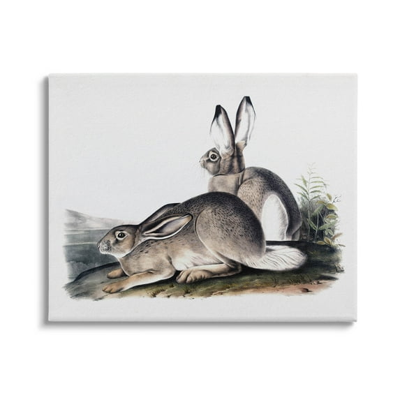 Rabbit Duo Gazing Animals Animals & Insects Painting Gallery Wrapped Canvas Print Wall Art