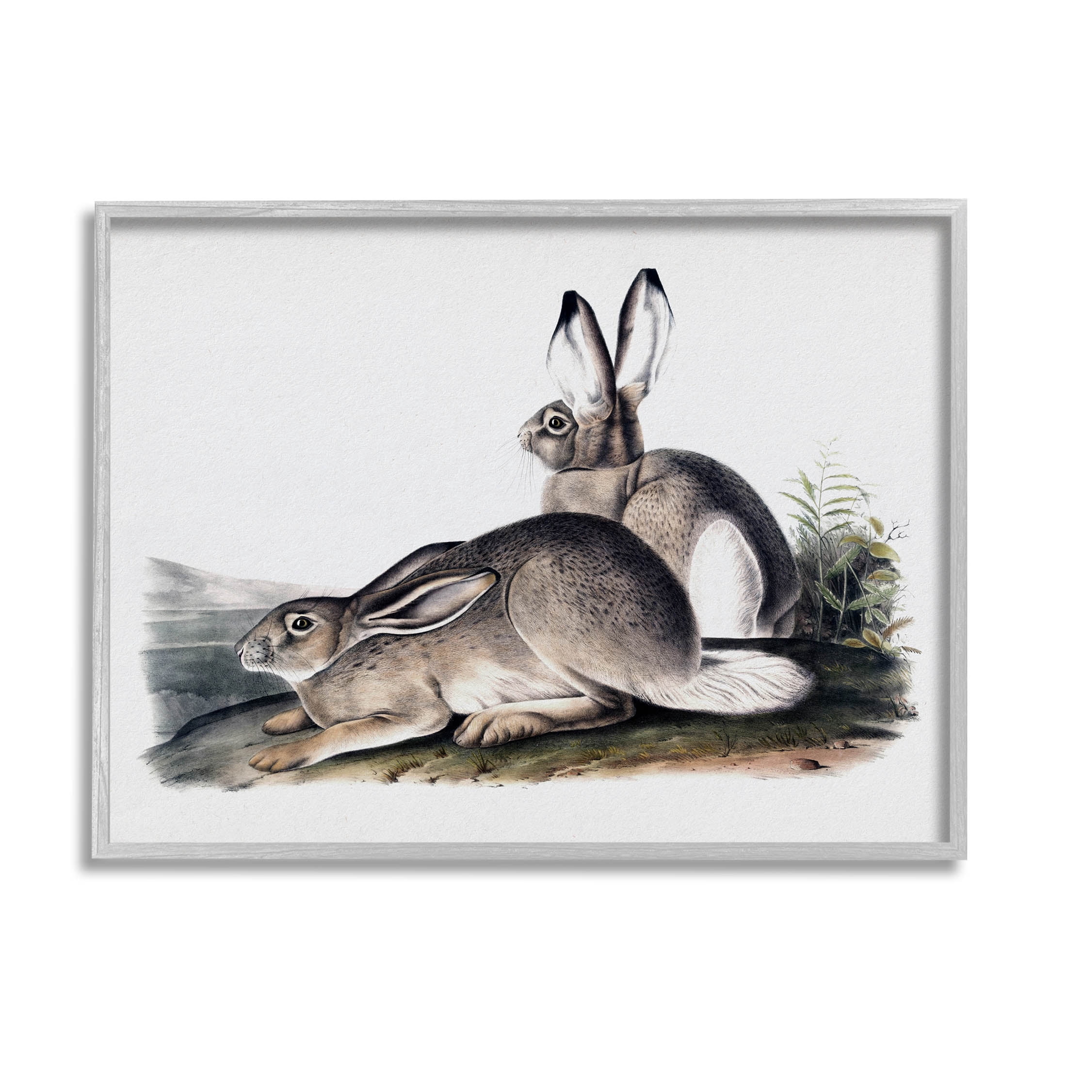 Rabbit Duo Gazing Animals Animals & Insects Painting Gray Framed Art Print Wall Art