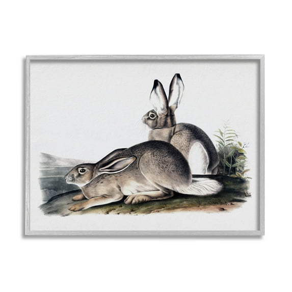 Rabbit Duo Gazing Animals Animals & Insects Painting Gray Framed Art Print Wall Art