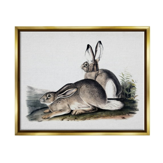 Rabbit Duo Gazing Animals Animals & Insects Painting Metallic Gold Framed Art Print Wall Art