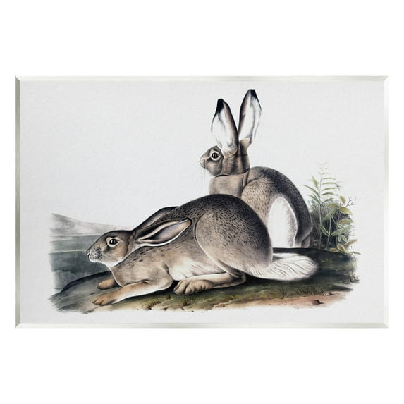 Rabbit Duo Gazing Animals Animals & Insects Painting Unframed Art Print Wall Art