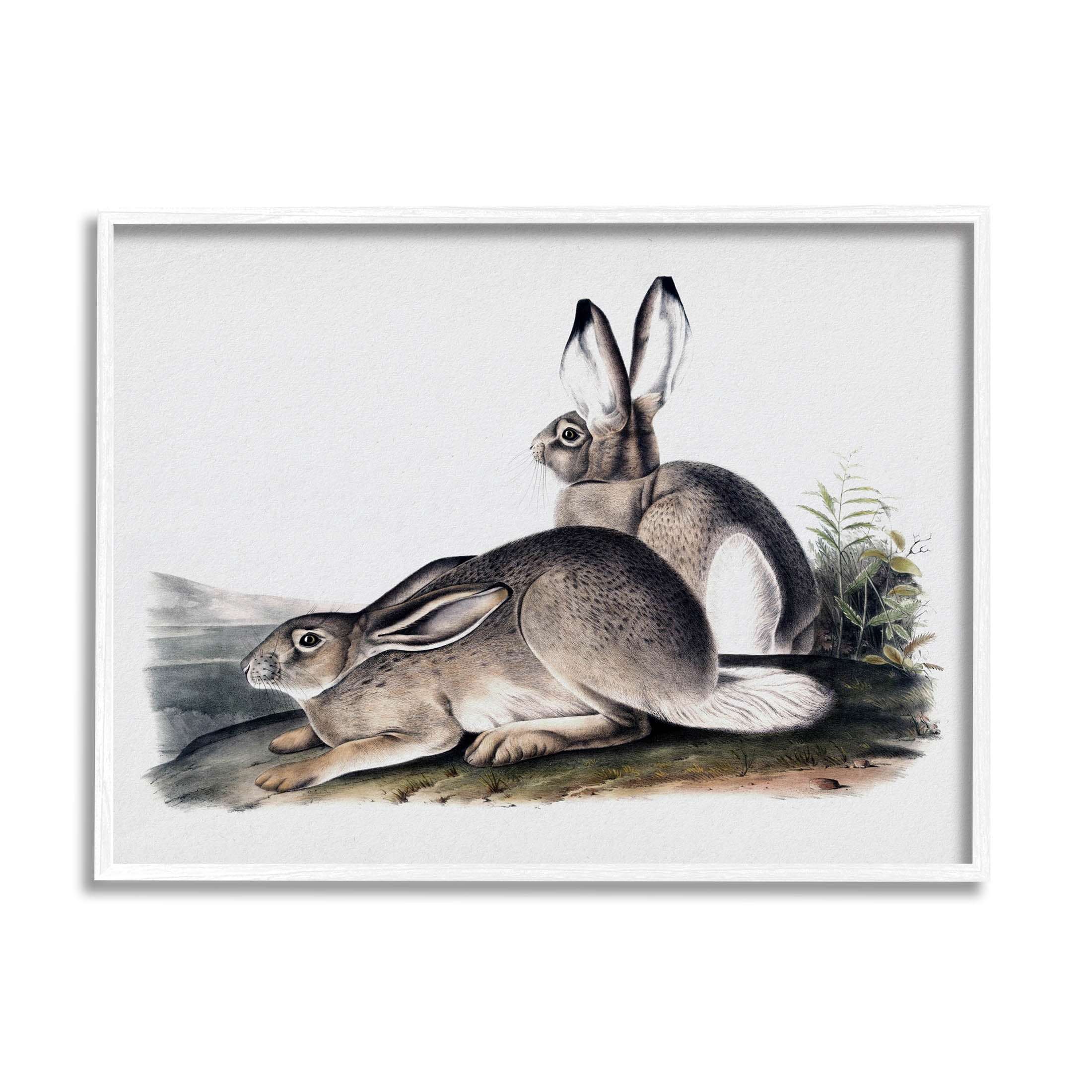 Rabbit Duo Gazing Animals Animals & Insects Painting White Framed Art Print Wall Art
