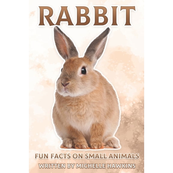 Fun Facts on Small Animals Rabbit: Fun Facts on Small Animals #1, (Paperback)