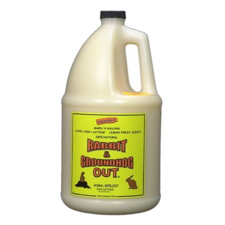 Rabbit & Groundhog Repellent: Rabbit Out 1 Gallon Concentrate