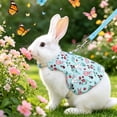 thumbnail image 1 of Rabbit Harness and Leash Set for Outdoor Training Camping Walking, Escape Proof Clothes Bunny Outfits for Rabbits, Kittens, Ferrets, Guinea Pigs (Green, M), 1 of 8
