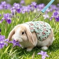 thumbnail image 1 of Rabbit Harness and Leash Set for Outdoor Training Camping Walking, Escape Proof Clothes Bunny Outfits for Rabbits, Kittens, Ferrets, Guinea Pigs (Light Green, L), 1 of 8