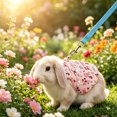 thumbnail image 1 of Rabbit Harness and Leash Set for Outdoor Training Camping Walking, Escape Proof Clothes Bunny Outfits for Rabbits, Kittens, Ferrets, Guinea Pigs (Pink, L), 1 of 8
