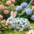 thumbnail image 1 of Rabbit Harness and Leash Set for Outdoor Training Camping Walking, Escape Proof Clothes Bunny Outfits for Rabbits, Kittens, Ferrets, Guinea Pigs (White, M), 1 of 8