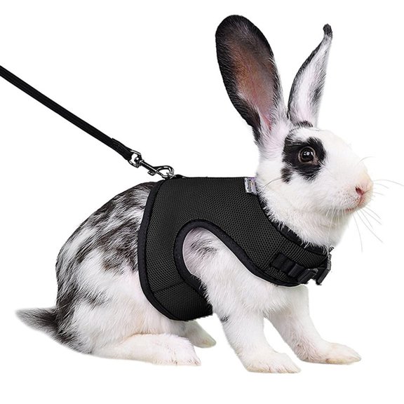 Rabbit Harness and Leash Soft Mesh Small Pet Harness, No Pulling Comfort Padded Vest for Guinea Pigs, Ferret, Chinchilla, Bunny, Rats, Iguana, Hamster