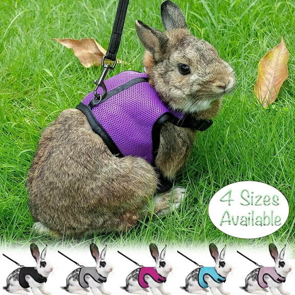 Rabbit Harness and Leash, Adjustable Buckle Breathable Mesh Vest Harness and Leash Set for Cats Small Pets Walking