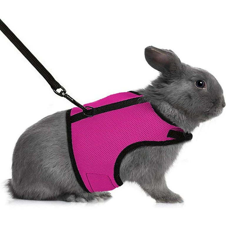Rabbit harness walmart top