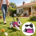 thumbnail image 1 of Rabbit Harness and Leash Set, Adjustable Mesh Bunny Walking Harness with Lead, Breathable Small Pet Harness for Rabbits 6.61 Lbs., 1 of 8
