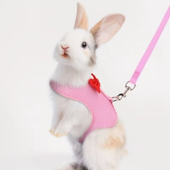 Rabbit Harness and Leash Set Breathable Mesh Vest with Adjustable Straps for Small Pets and Guinea Pigs