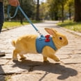 thumbnail image 1 of Rabbit Harness and Leash Set with Cute Bow, Soft Breathable Mesh Vest Harness for Rabbits Kitten Ferret Puppy Small Pets Walking Supplies Blue, 1 of 6