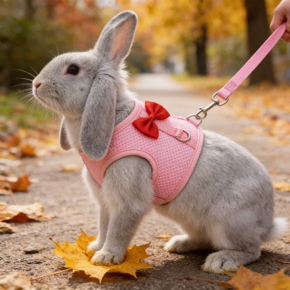 Rabbit Harness and Leash Set with Cute Bow, Soft Breathable Mesh Vest Harness for Rabbits Kitten Ferret Puppy Small Pets Walking Supplies Pink