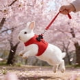 thumbnail image 1 of Rabbit Harness and Leash Set with Cute Bow, Soft Breathable Mesh Vest Harness for Rabbits Kitten Ferret Puppy Small Pets Walking Supplies Red, 1 of 6