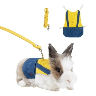 Bunny collars and leashes sales