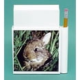 thumbnail image 1 of Rabbit Hold-a-Note, 1 of 1