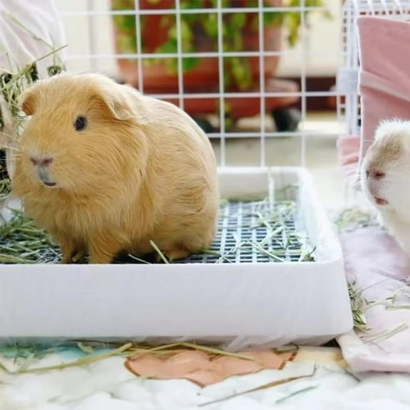 Rabbit Large Litter Box, Guinea Pig Training Pan Cage with Toilet Tray, Ideal for Rats, Ferret, Bunny Small and Medium Animals (2Pcs x Medium)