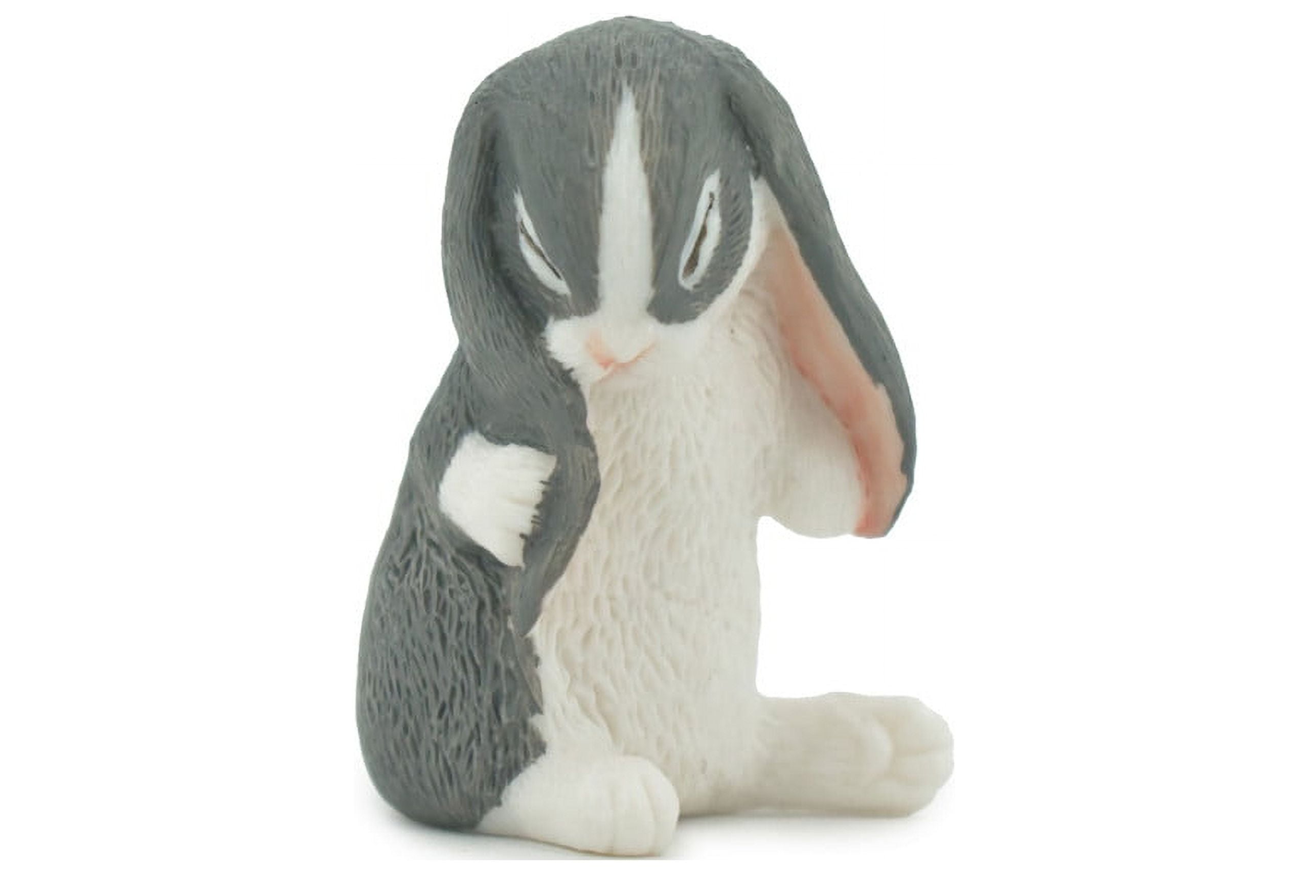 Rabbit, Lop Ear, Floppy Eared, Museum Quality, Hand Painted, Realistic ...