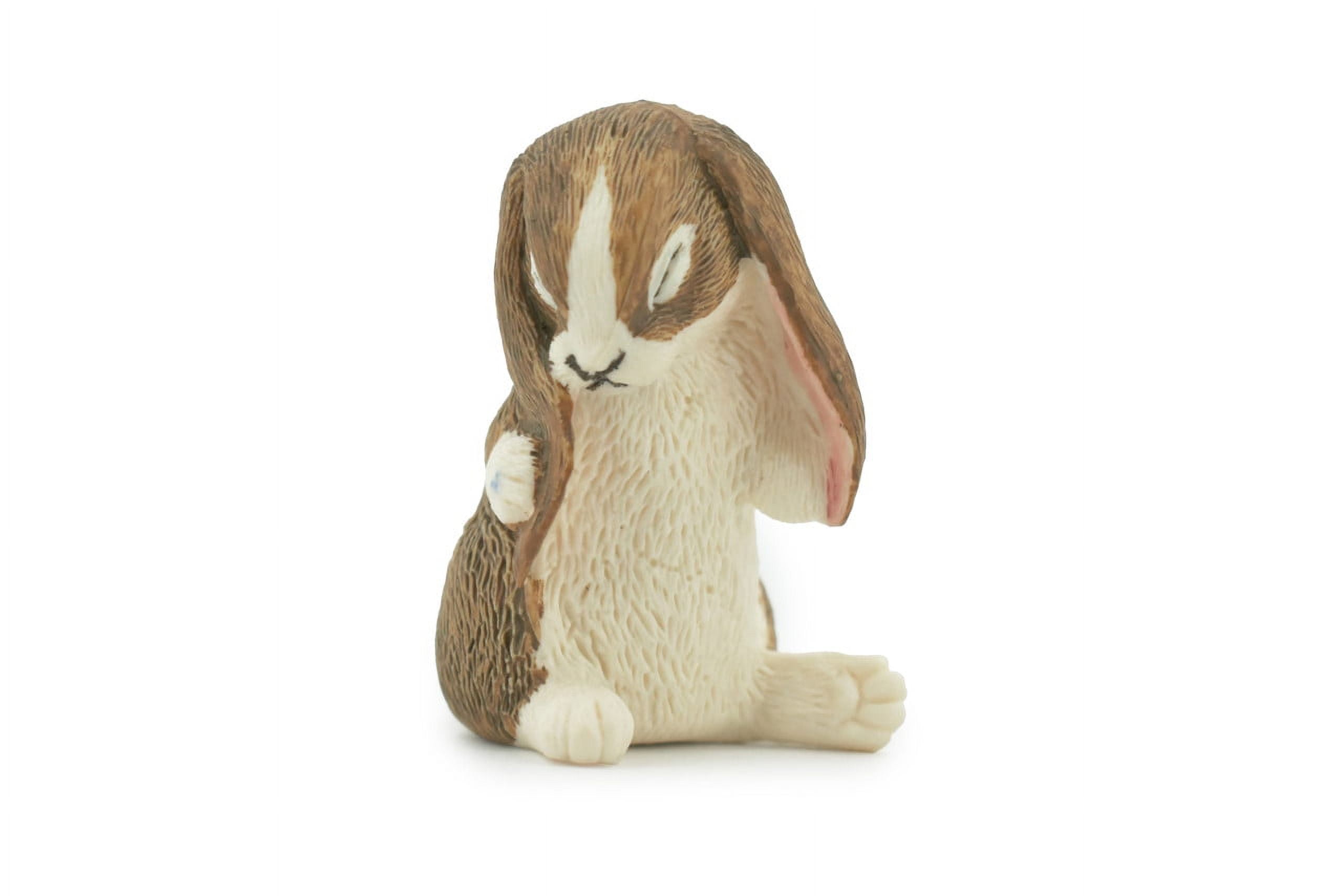 Rubber Rabit Rabbit, Lop Ear, Floppy Eared rabbit, Museum Quality, Hand Painted ...