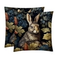 thumbnail image 1 of Rabbit Luxurious Velvet Pillow of 2,for Bed Pillow Covers and Throw Pillows - Available in 16x16, 18x18, and 20x20 Inches with Unique Patterns for Various Occasions, 1 of 6