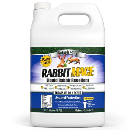 Nature's MACE Rabbit MACE Rabbit Repellent | 1 Gallon Concentrate, Makes 16 Gallons, Treats 2 Acres