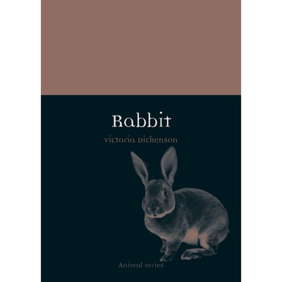 Pre-Owned Rabbit (Paperback) 9781780231815
