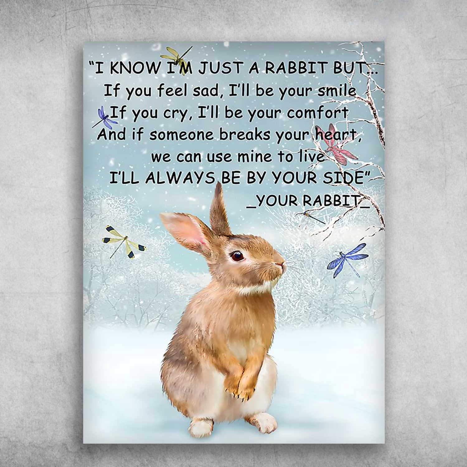 Rabbit Poster, Bunny Dragonfly - I Know I'm Just A Rabbit But, If You ...