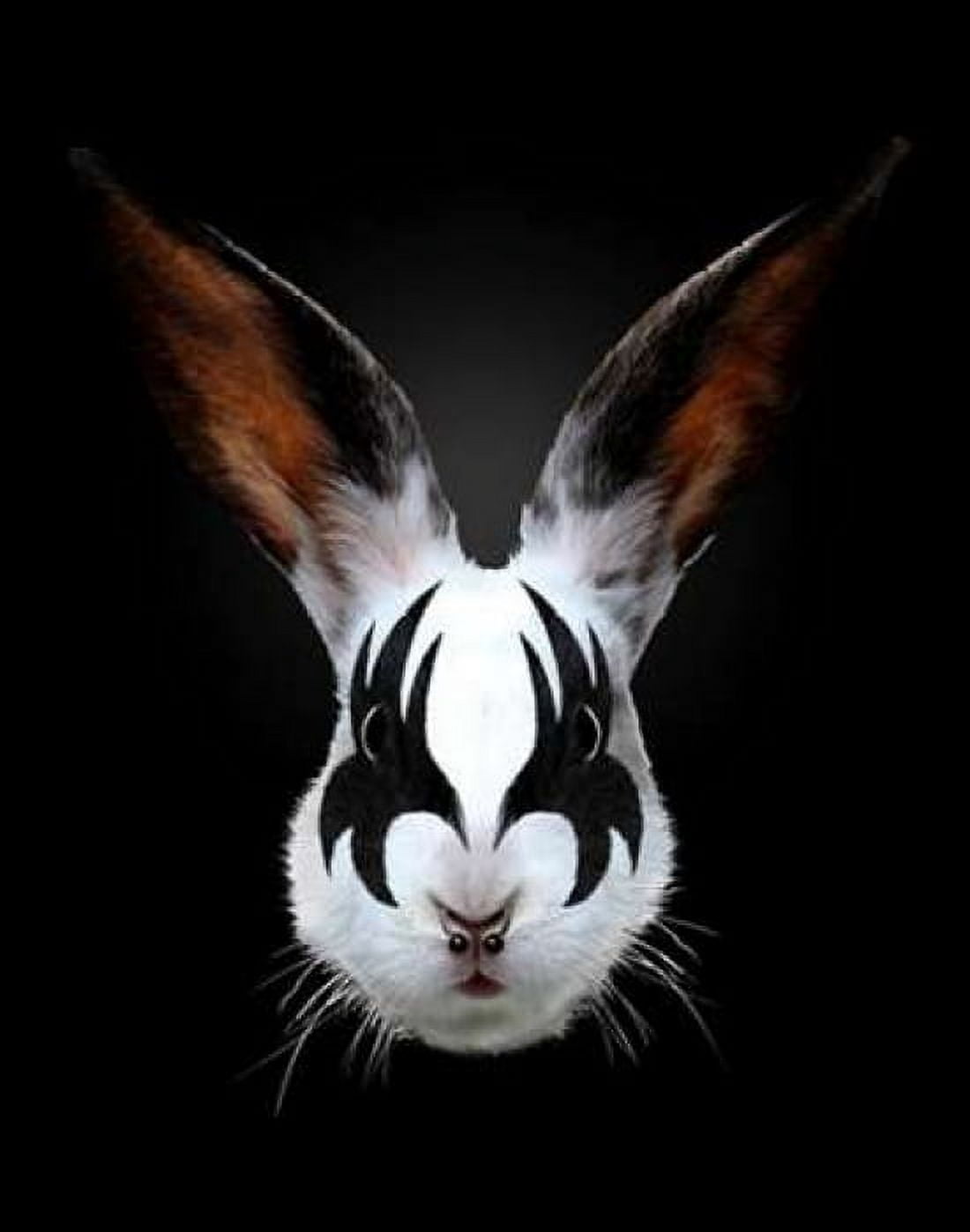 Rabbit Rocks Canvas Art - Robert Farkas (22 x 28)