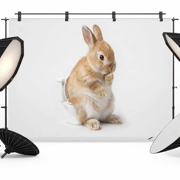 Rabbit Sitting on The Toilet Thinking Photography Backdrop 7x5FT, Abstract Funny Animal Photo Backdrops, Background for Photography Studio Photo Studio Background, Back Drop for Photoshoot