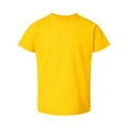 thumbnail image 1 of Rabbit Skins 3321 Toddler Fine Jersey T-Shirt (2 PACK), 1 of 1