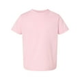 thumbnail image 1 of Rabbit Skins 3321 Toddler Fine Jersey T-Shirt (2 PACK), 1 of 1
