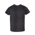 thumbnail image 1 of Rabbit Skins 3321 Toddler Fine Jersey T-Shirt (2 PACK), 1 of 1