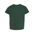 thumbnail image 1 of Rabbit Skins 3321 Toddler Fine Jersey T-Shirt (2 PACK), 1 of 1