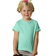 thumbnail image 1 of Rabbit Skins 5.5 oz Jersey Short-Sleeve T-Shirt (RS3301) Chill, 3T, 1 of 4