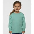 thumbnail image 1 of Rabbit Skins B24638554 Toddler Fine Jersey Long Sleeve T-Shirt, Coyote Brown - Size 4T, 1 of 1