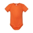 thumbnail image 1 of Rabbit Skins Infant Baby Rib Bodysuit, 1 of 4